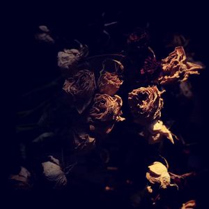 한사람을 잊는 것