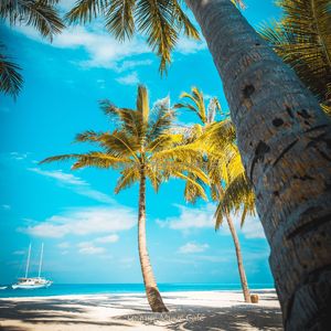 适合在家里工作轻音乐