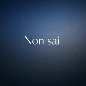 Non sai
