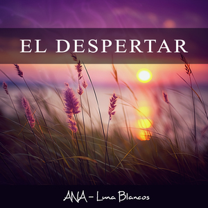 Claridad de la Renovación