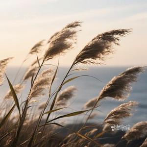 曾经守候(Cover 张碧晨)