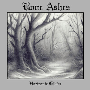 Bosque Muerto Neblinoso