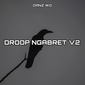 DROOP NGABRET (V2)