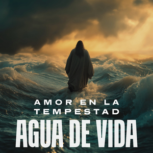 Noche de Protección