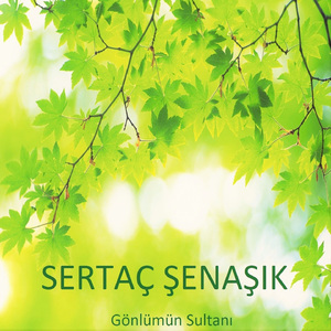 Gönlümün Sultanı