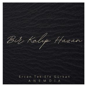 Bir Kalıp Hüzün (feat. Efe Gürkan)