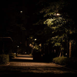 텅 빈 마음 (Inst.)