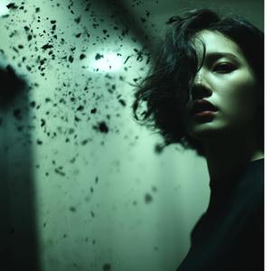 미련한 쇠똥구리