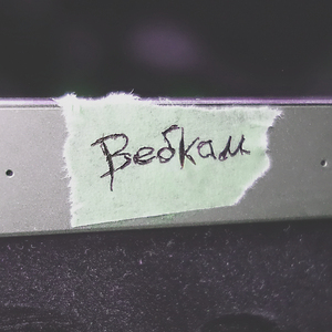 Роботы-птицы