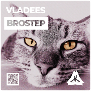 Brostep (Original mix)
