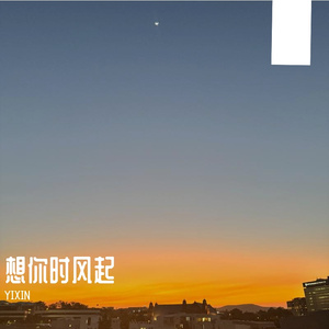 想你时风起