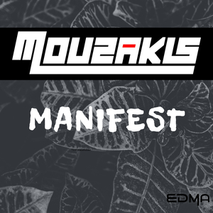 Manifest (Original Mix)