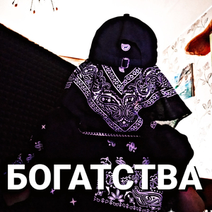 Богатства