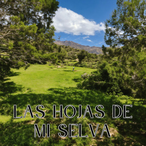 Las Hojas de Mi Selva