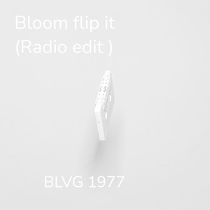 Bloom flip it (Radio edit)