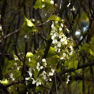 何かが足りない