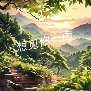 想见你一面