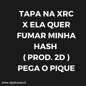 TAPA NA XRC X ELA QUER FUMAR MINHA HASH ( PROD. 2D ) PEGA O PIQUE