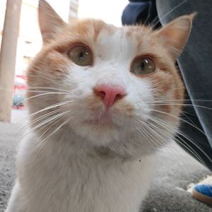 失去后只剩怀念