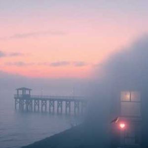 收留迷路的晚安