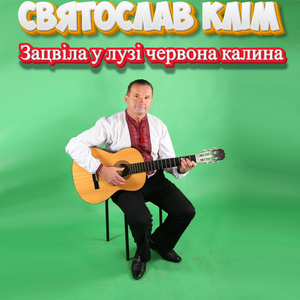 Зацвіла у лузі червона калина