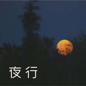 夜行