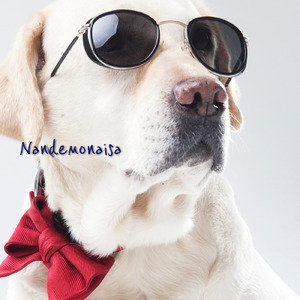 Nandemonaisa