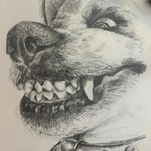 Morcegos Influenciadores