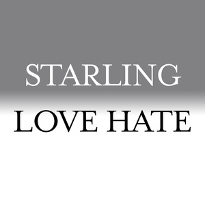Love Hate