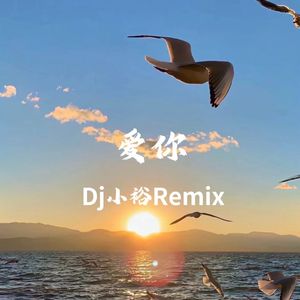 爱你（Dj小裕Remix）