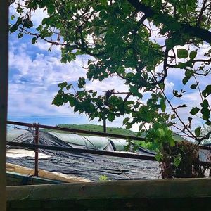 前方的路（Prod.Gr33nartBeats）