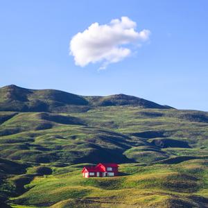 can you be truthful?