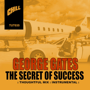 The Secret of Success (Thoughtful Mix)