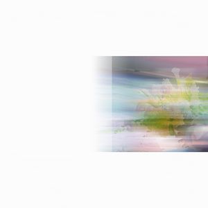 第一次遇见花香的那刻