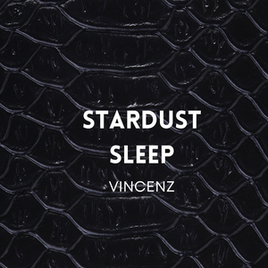 Stardust Sleep