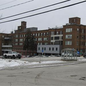 La vie (criss de chienne)