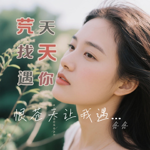恨苍天让我遇见你（Cover 影子）