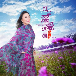 红尘深爱这一回