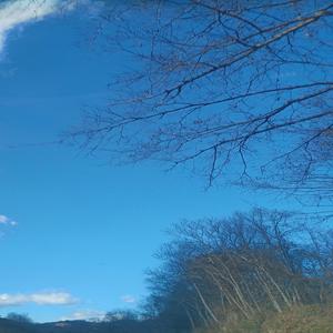 trotventurs1 continue