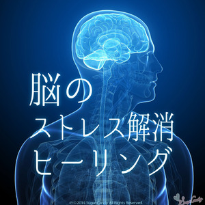 優しい木漏れ日