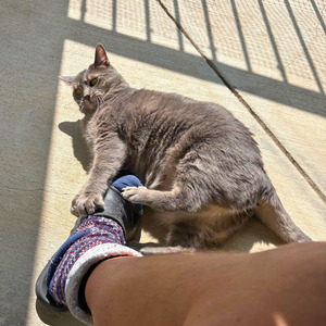 I Surprised You (Radio Edit)