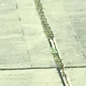 WASTE OF TIME (P. DESPAIR)