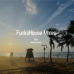 Siqe修改-陳饼饼-有多少爱可以重来（DJ光头FunkyHouse Mix）