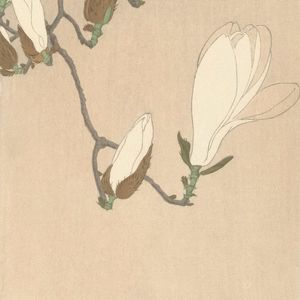未命名 伴奏