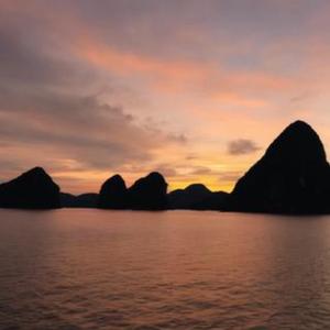 你也不要想起我