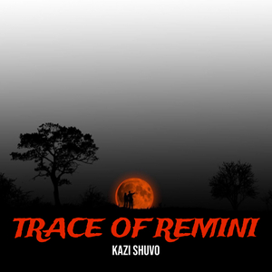 Alone in the Silence