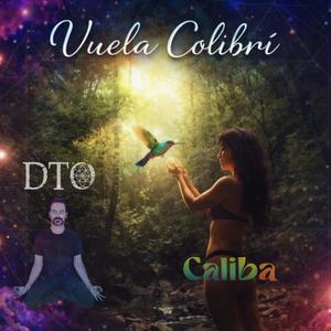 Vuela Colibrí
