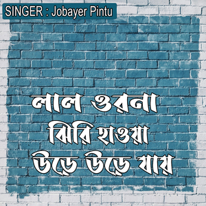 লাল ওরনা ঝিরি হাওয়া উড়ে উড়ে যায়