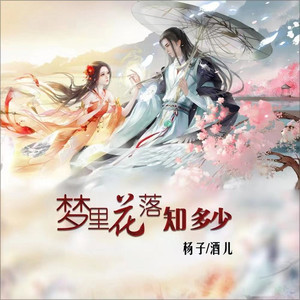 梦里花落知多少 (伴奏)
