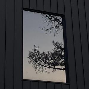 余年(女声）（翻自 肖战）